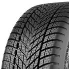 Dunlop Winter