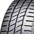Evergreen Ew616