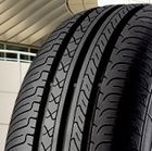 Gt-Radial Champiro Fe1 City