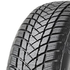 GT-Radial Winterpro 2
