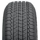 Tigar Suv Summer